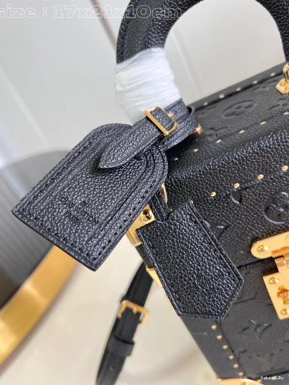 Monogram VUITTON Camera Canvas LOUIS Box 0207